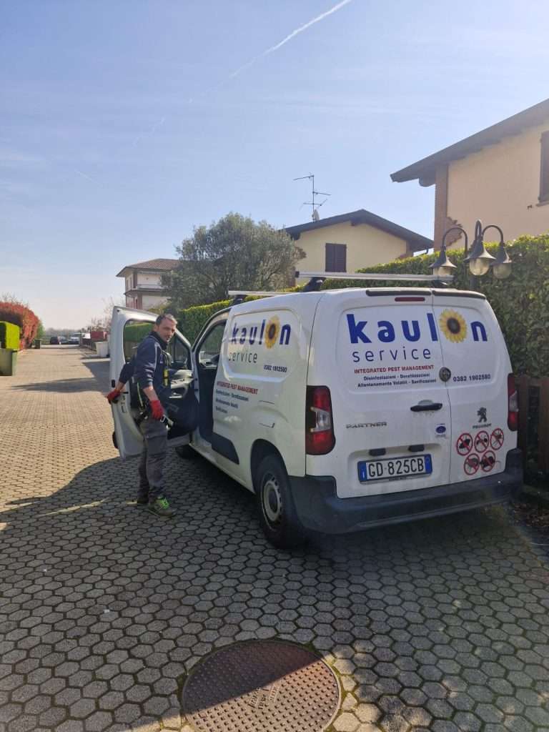 Kaulon service